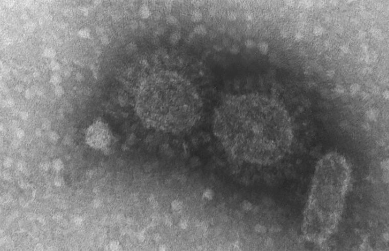 Lesões na pele podem ser indicativo de covid-19