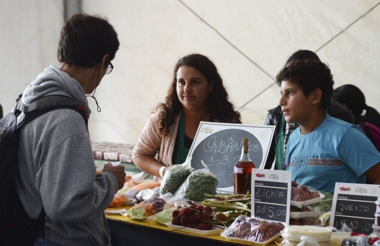 BNDES disponibiliza R$ 5,1 bilhões para o pequeno produtor rural