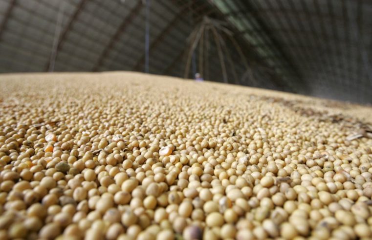 IBGE prevê safra recorde de 258,5 milhões de toneladas em 2021