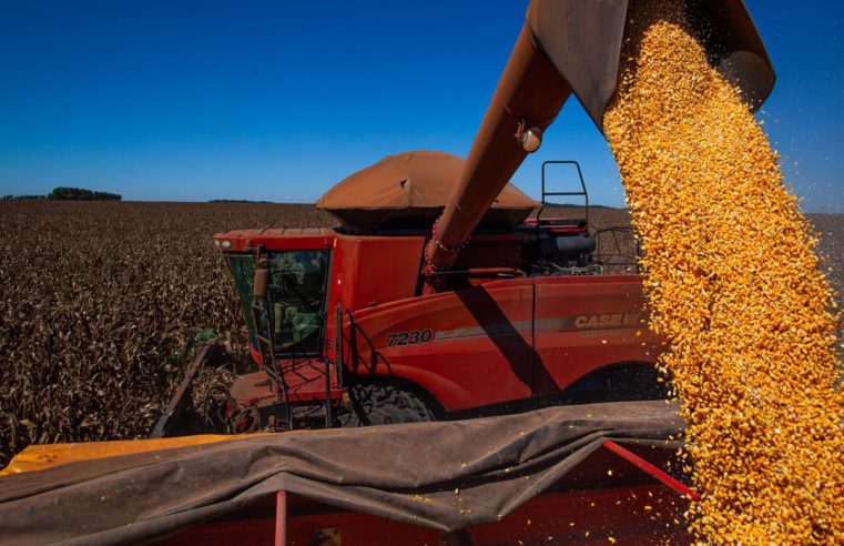 Conab estima colheita de 260,8 milhões de toneladas na safra 2020/2021