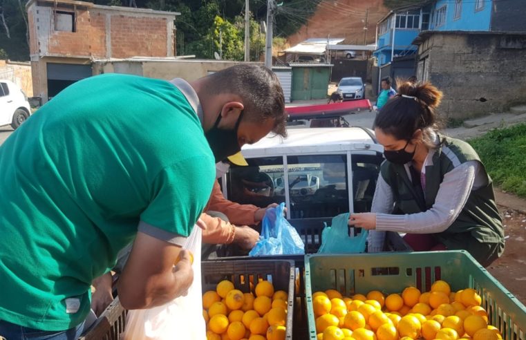 Produtor rural doa à Prefeitura mais duas toneladas de laranjas e tangerinas: frutas foram distribuídas a moradores do Atílio Marotti