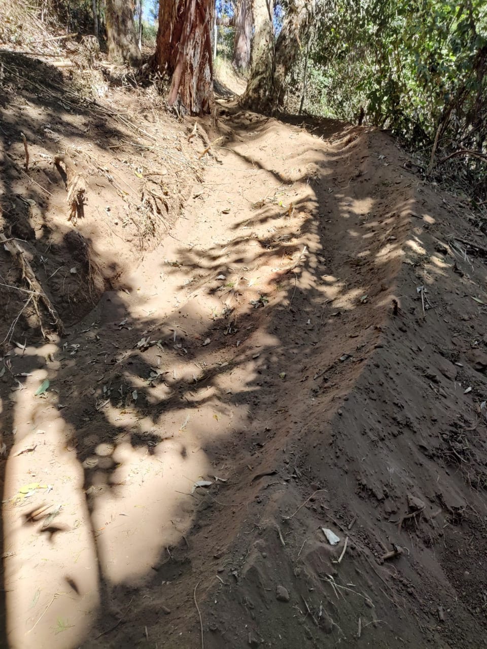 Polícia ambiental flagra corte de talude e abertura clandestina de estrada em Itaipava