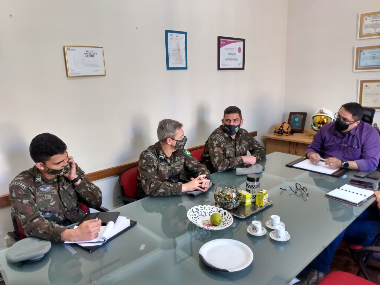 Defesa Civil mobiliza órgãos para o combate a incêndios florestais