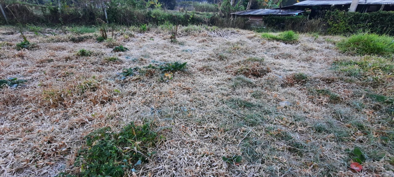 Terceira geada do ano em Petrópolis é registrada no Brejal