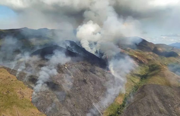 Defesa Civil cria plano de prevenção e combate aos incêndios florestais