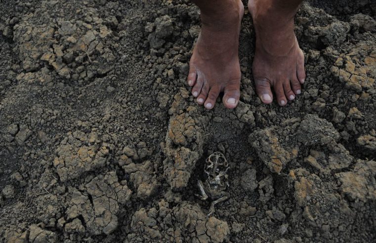 Governos estudam ações para mitigar efeitos da seca no Piauí