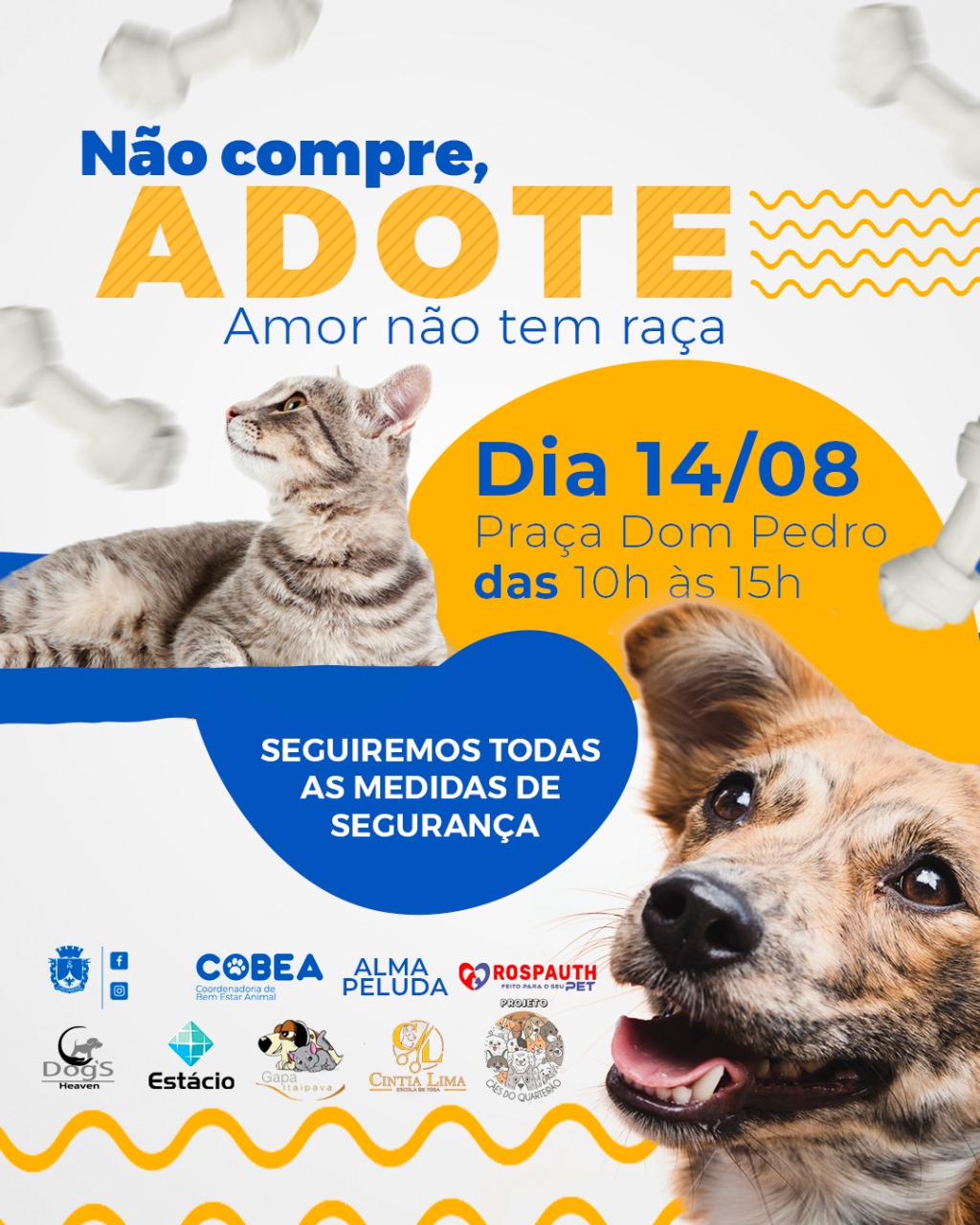 Campanha de adoção de animais chega à nona etapa neste sábado