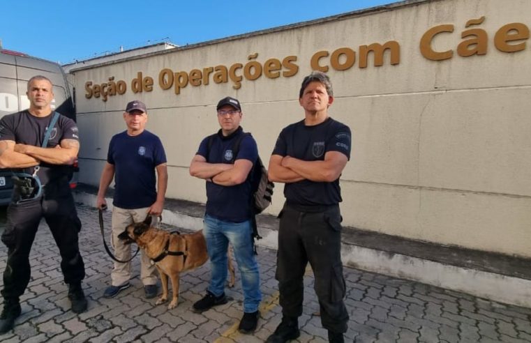 Guarda Civil ministra curso de operação com cães na Cidade da Polícia
