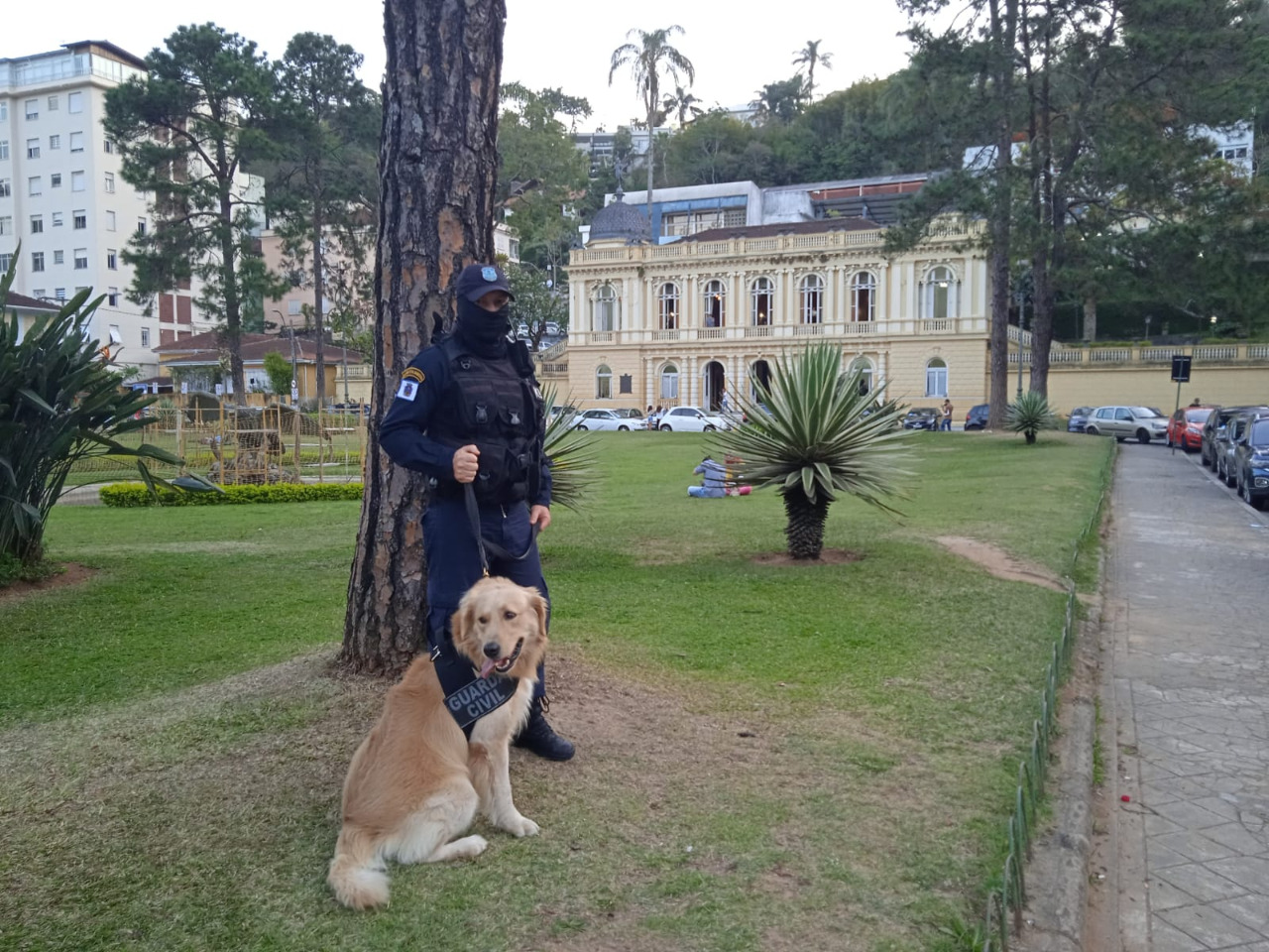 Cão da Guarda localiza droga em patrulhamento no Centro Histórico