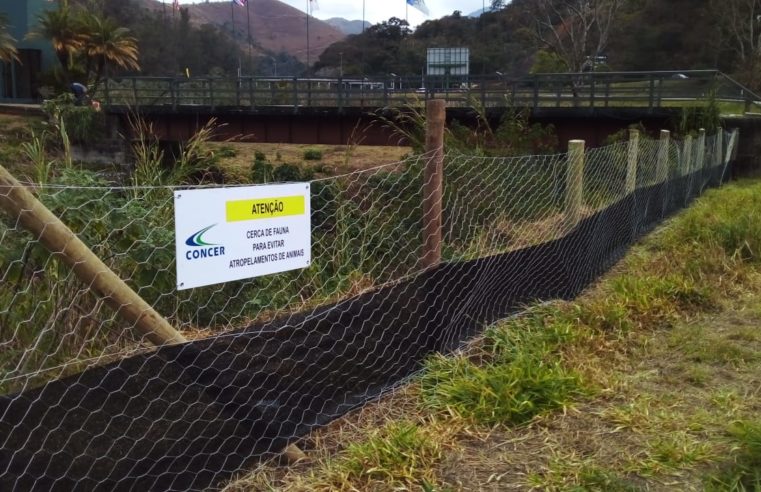 Cercas são instaladas na BR-040 para a proteção de animais silvestres