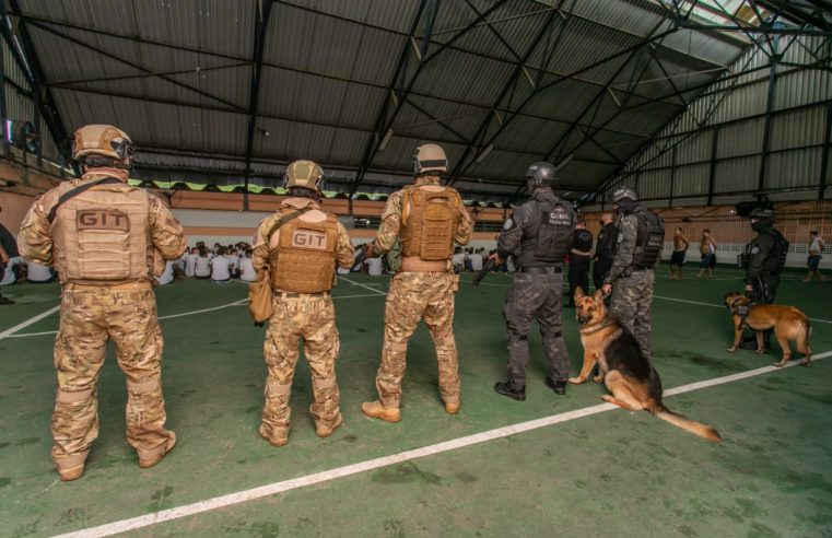 Policiais Penais da Seap apreendem drogas e celulares durante revista em unidades prisionais