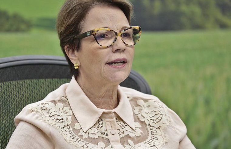 País pode ser principal para investimentos verdes, diz ministra