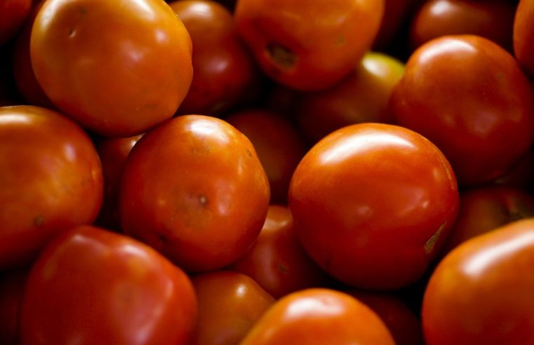 Preço da cesta básica sobe em 15 capitais do país