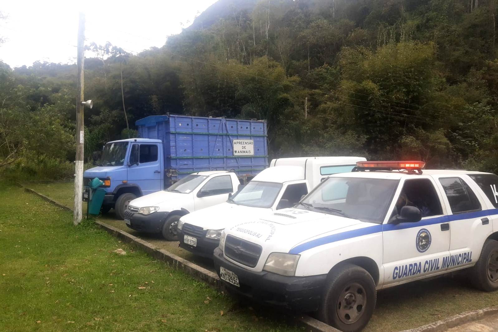 Teresópolis: Fiscalização percorre bairros na cidade e no interior e não encontra animais de grande porte soltos nas ruas
