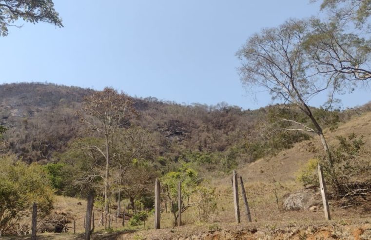Equipes de plantão da Defesa Civil retomam os trabalhos na área afetada por incêndio florestal, em Secretário