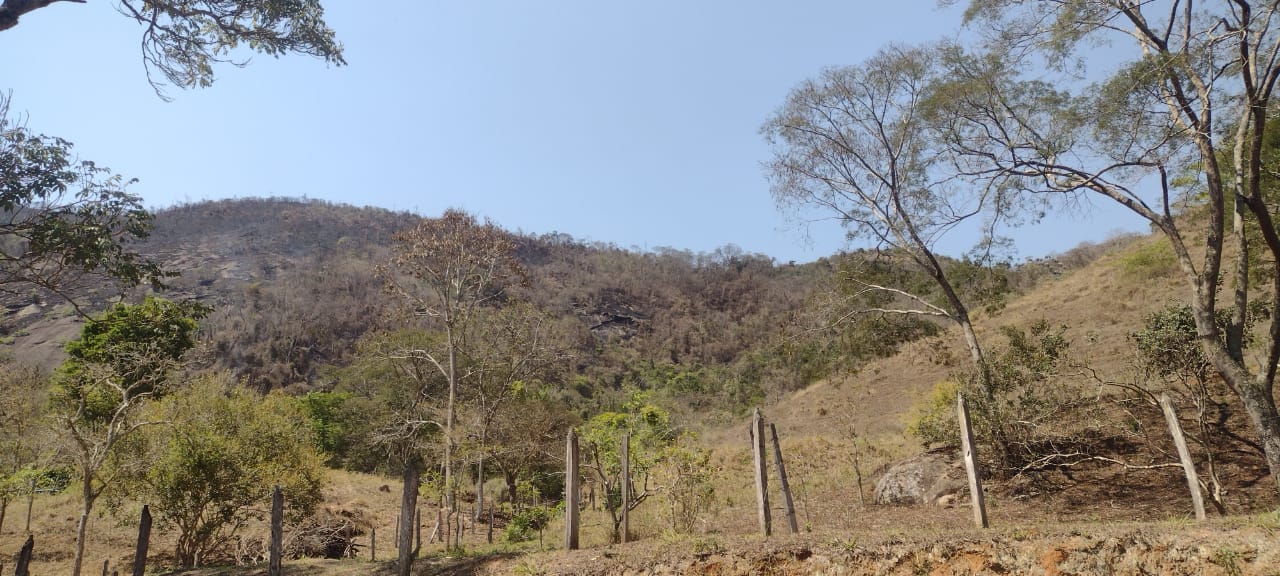 Equipes de plantão da Defesa Civil retomam os trabalhos na área afetada por incêndio florestal, em Secretário