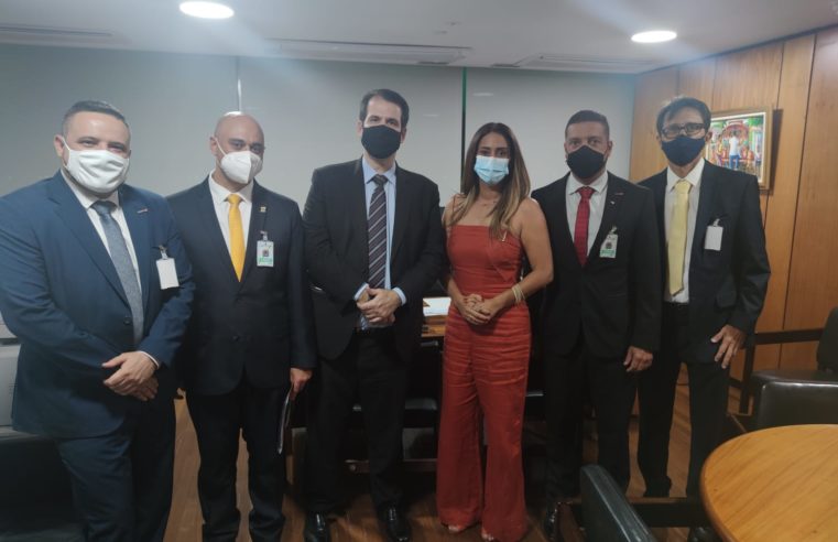 Três Rios: vereadores participam de reunião com ministra Flávia Arruda