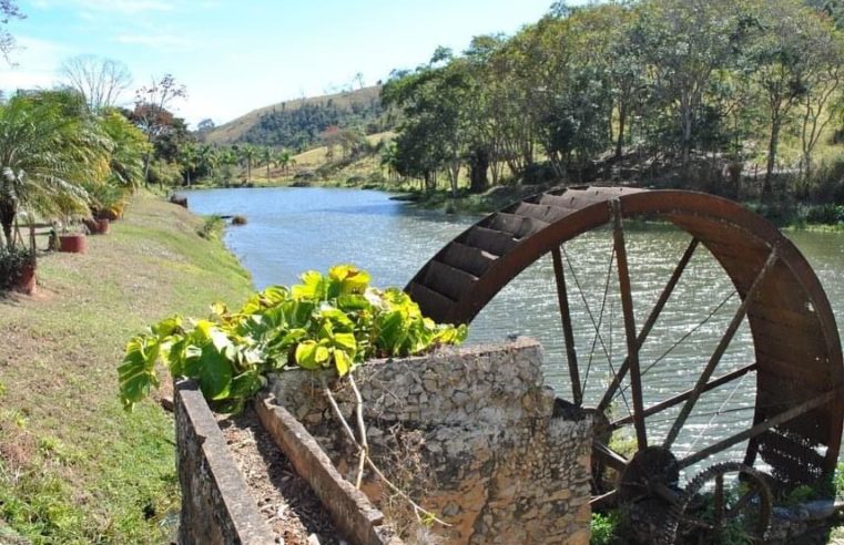 Areal ganha título de Cidade da Uva