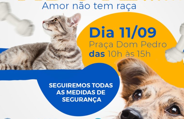 Prefeitura promove a 11ª edição da Campanha de adoção de animais neste sábado (11)