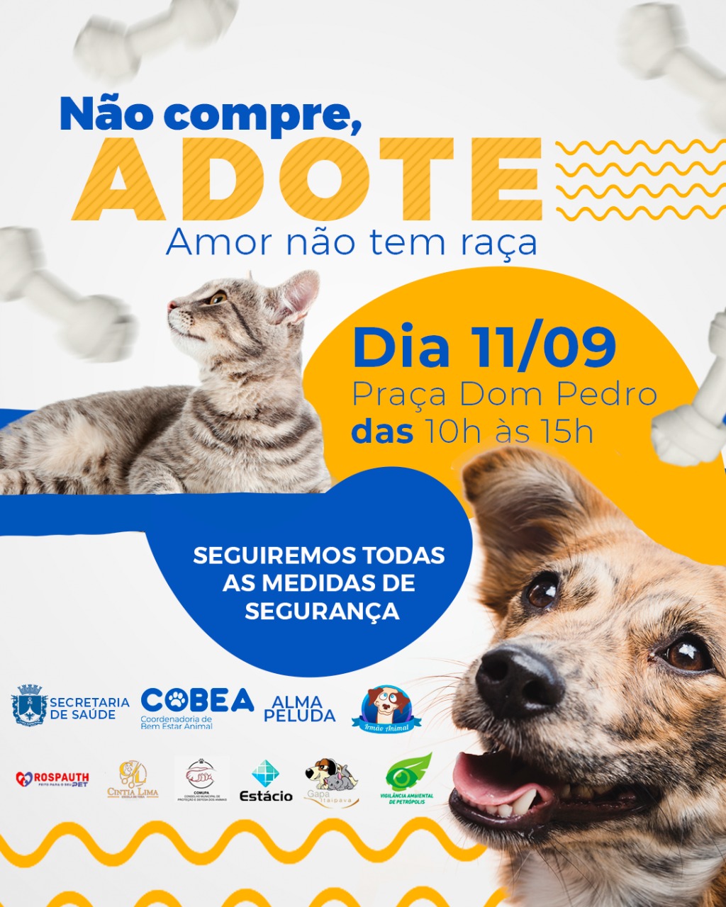 Prefeitura promove a 11ª edição da Campanha de adoção de animais neste sábado (11)