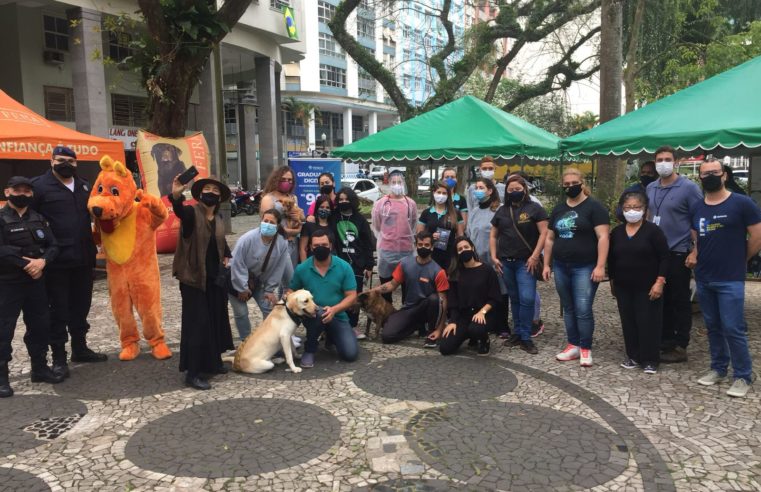 Três animais são acolhidos na 11ª edição da campanha de adoção de animais