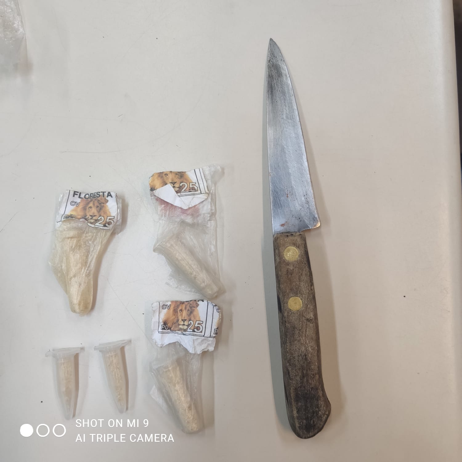 Polícia prende acusados de tentativa de homicídio ocorrida no Provisória