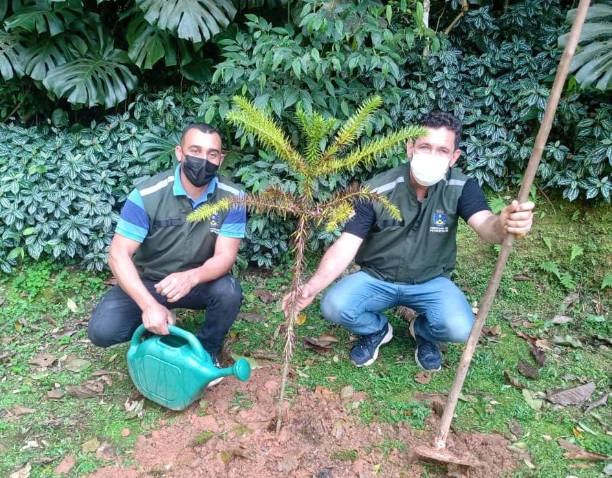Secretaria de Meio Ambiente realiza atividades em homenagem ao Dia da Árvore