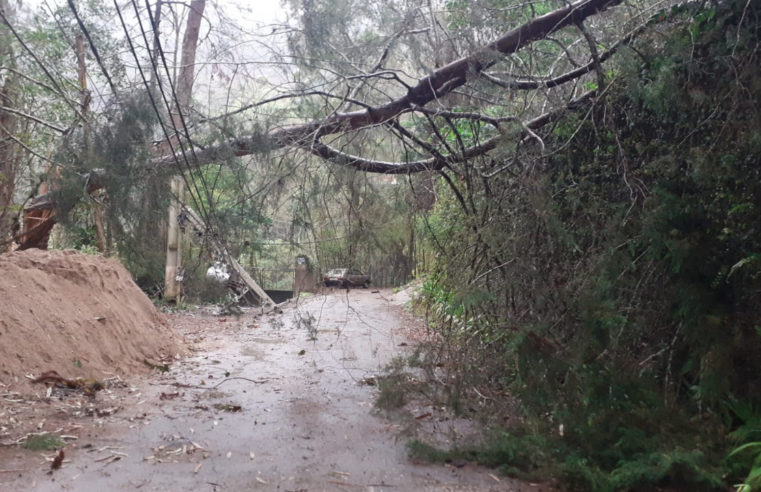 Chuva provoca interferências na operação dos ônibus em Petrópolis
