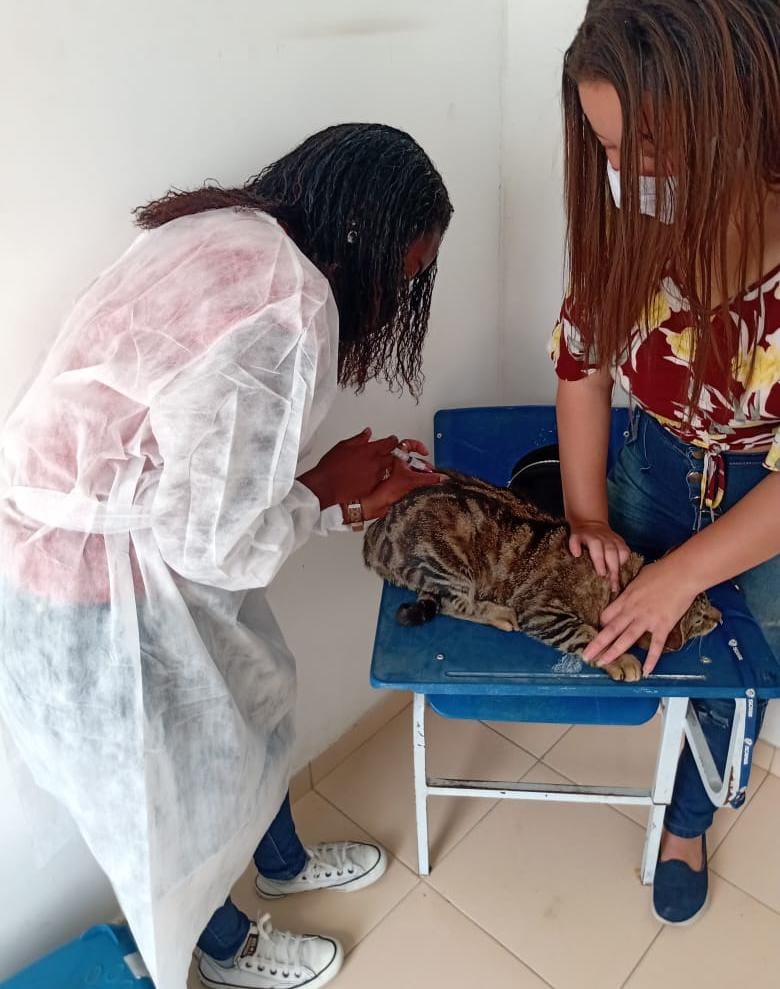 Quinta etapa da campanha de vacinação antirrábica animal será realizada neste sábado (25)