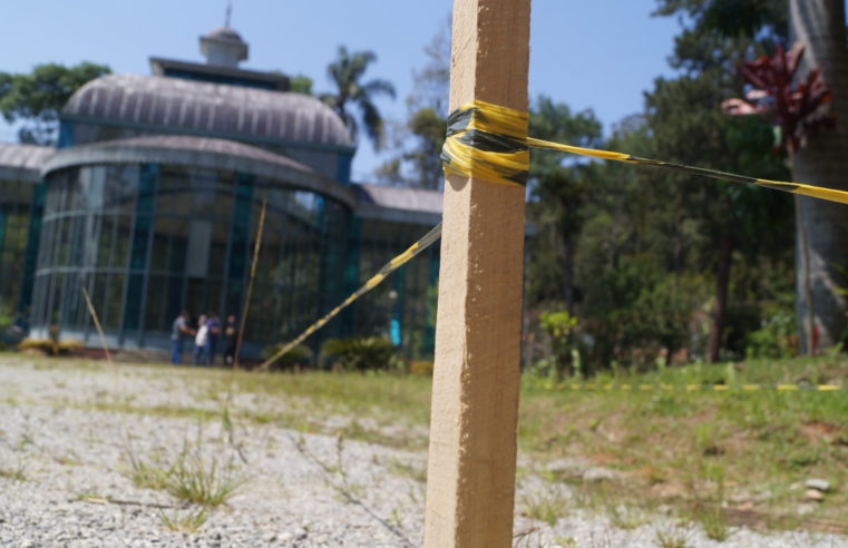 Primeira etapa do trabalho arqueológico de escavação é concluída no Palácio de Cristal