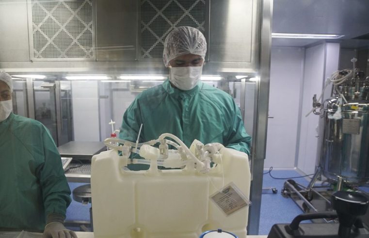 Fiocruz prevê entrega de 6 milhões de doses com IFA nacional este ano
