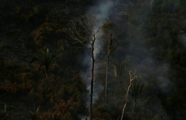 Savanização da Amazônia e calor podem ser fatais para saúde humana