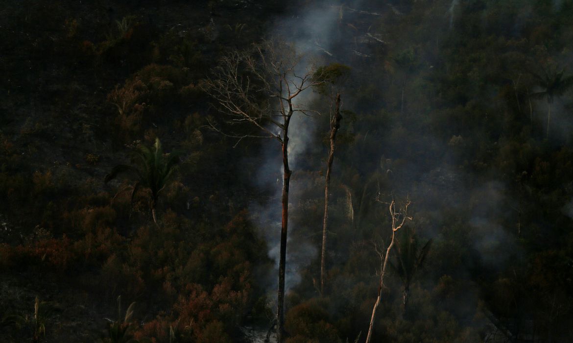 Savanização da Amazônia e calor podem ser fatais para saúde humana