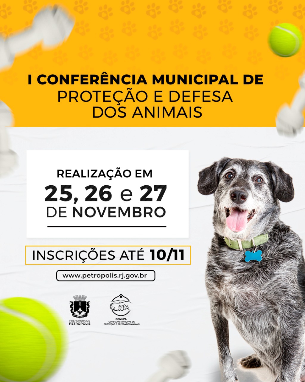 COMUPA prepara conferência online de proteção e defesa do animal