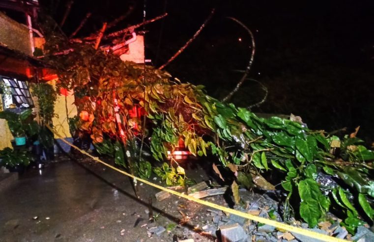 Equipes da Defesa Civil atuam no atendimento a ocorrências causadas por forte chuva na noite do último domingo