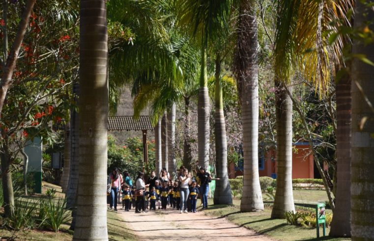 ONG Projeto Água completa 17 anos com 15 mil árvores plantadas e programas de educação ambiental para crianças e jovens