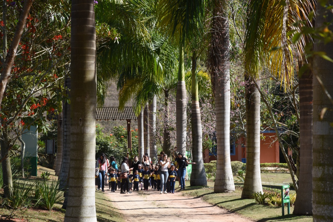 ONG Projeto Água completa 17 anos com 15 mil árvores plantadas e programas de educação ambiental para crianças e jovens