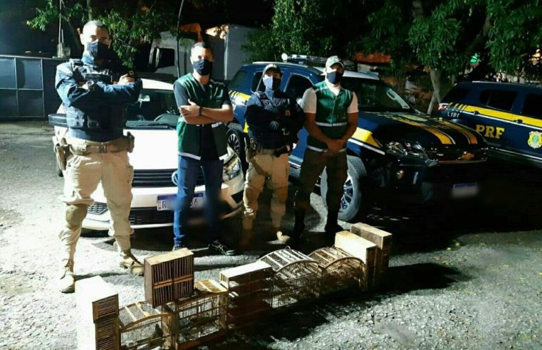Cinco pessoas são presas por crime ambiental em Três Rios