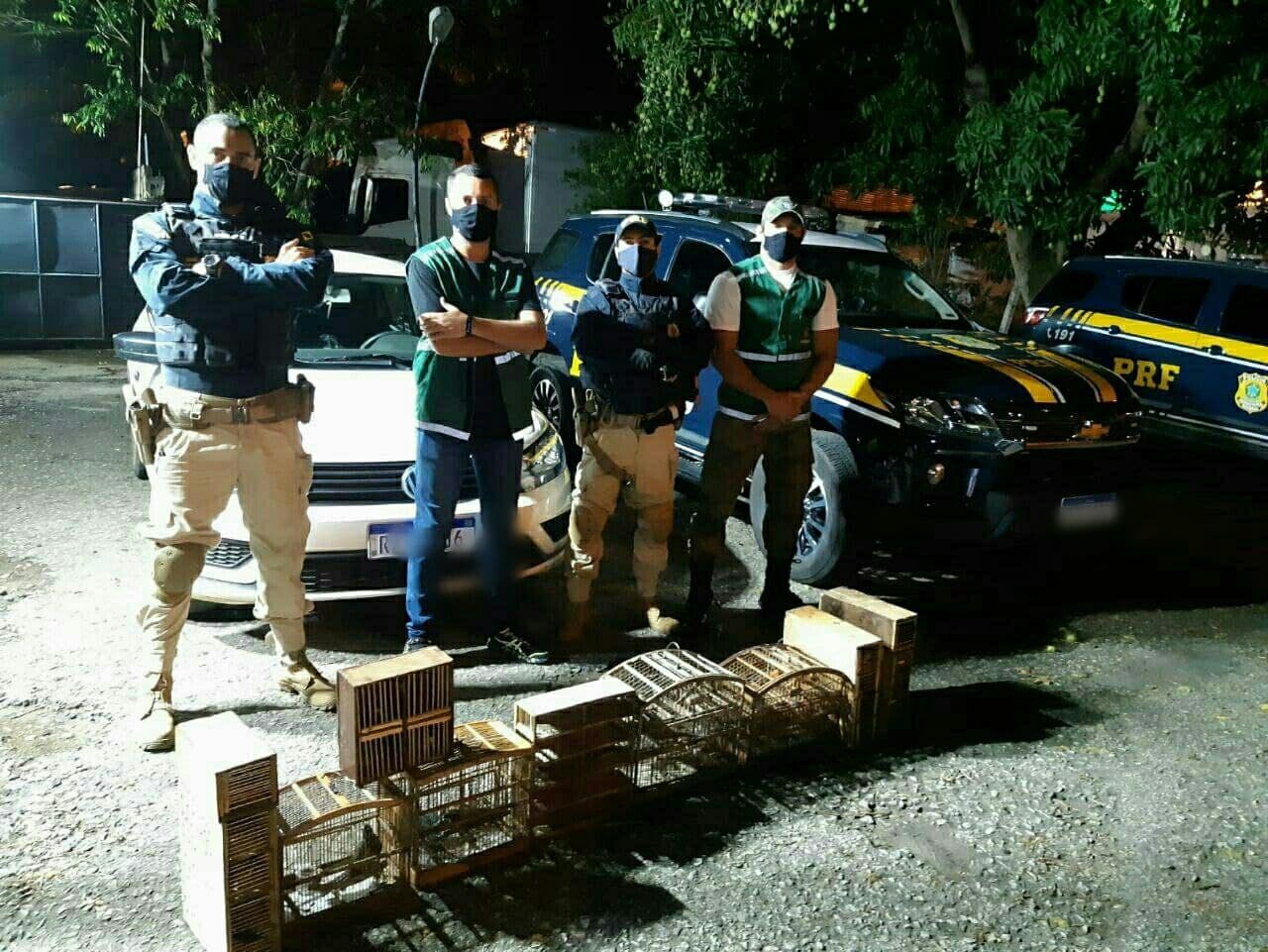 Cinco pessoas são presas por crime ambiental em Três Rios