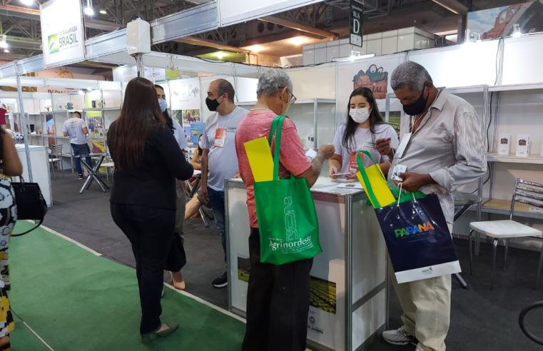 Turismo rural petropolitano é divulgado em feira do Nordeste