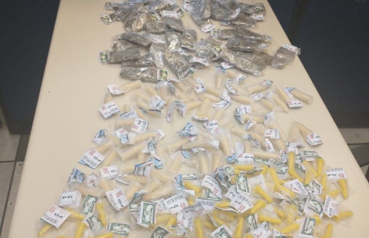Polícia Militar apreende drogas na Mosela