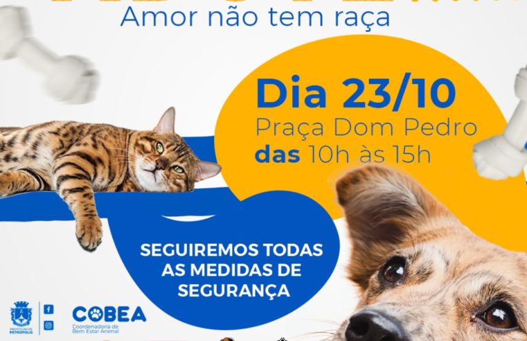 Segunda edição da Primavera de Adoção acontece neste sábado (23)