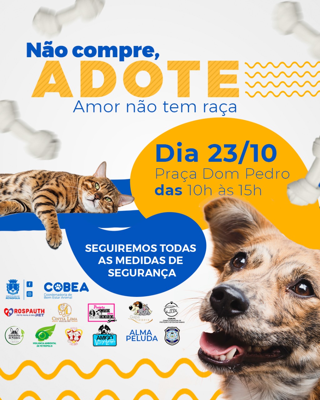 Segunda edição da Primavera de Adoção acontece neste sábado (23)