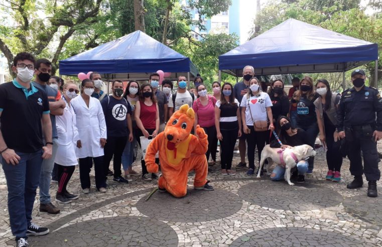 Dez animais são adotados e Cobea alcança a marca de 102 acolhimentos responsáveis em 2021