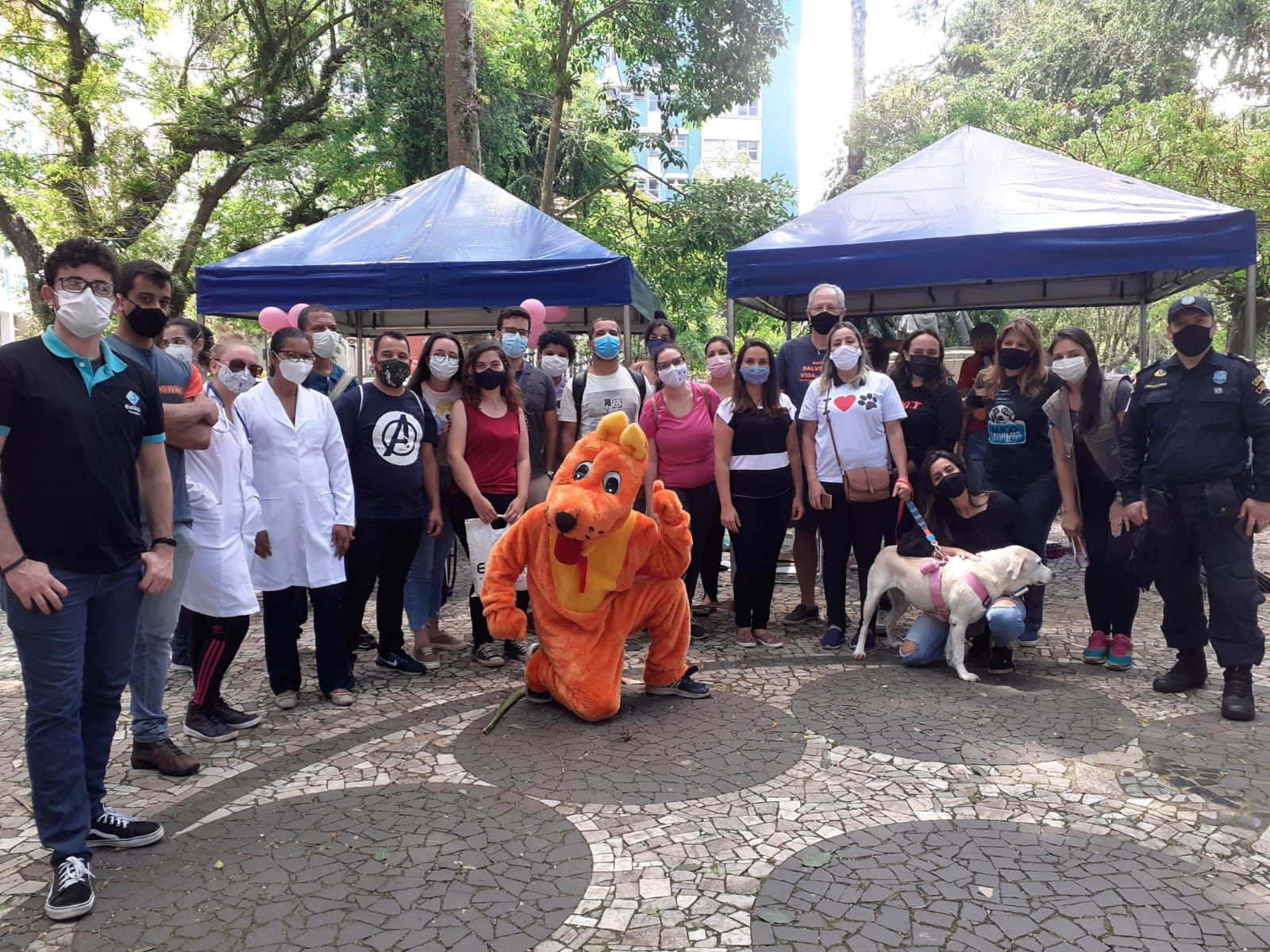 Dez animais são adotados e Cobea alcança a marca de 102 acolhimentos responsáveis em 2021