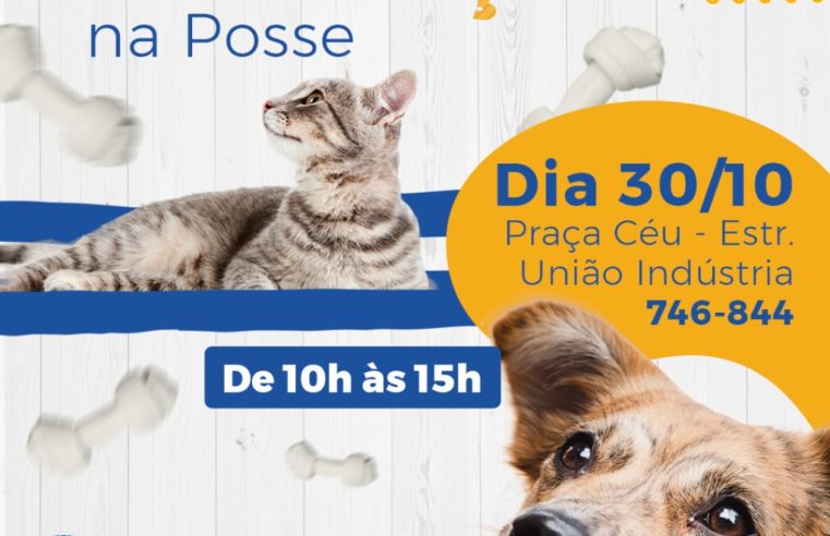 Posse recebe 1ª etapa da Campanha de adoção de animais nos distritos neste sábado (30)