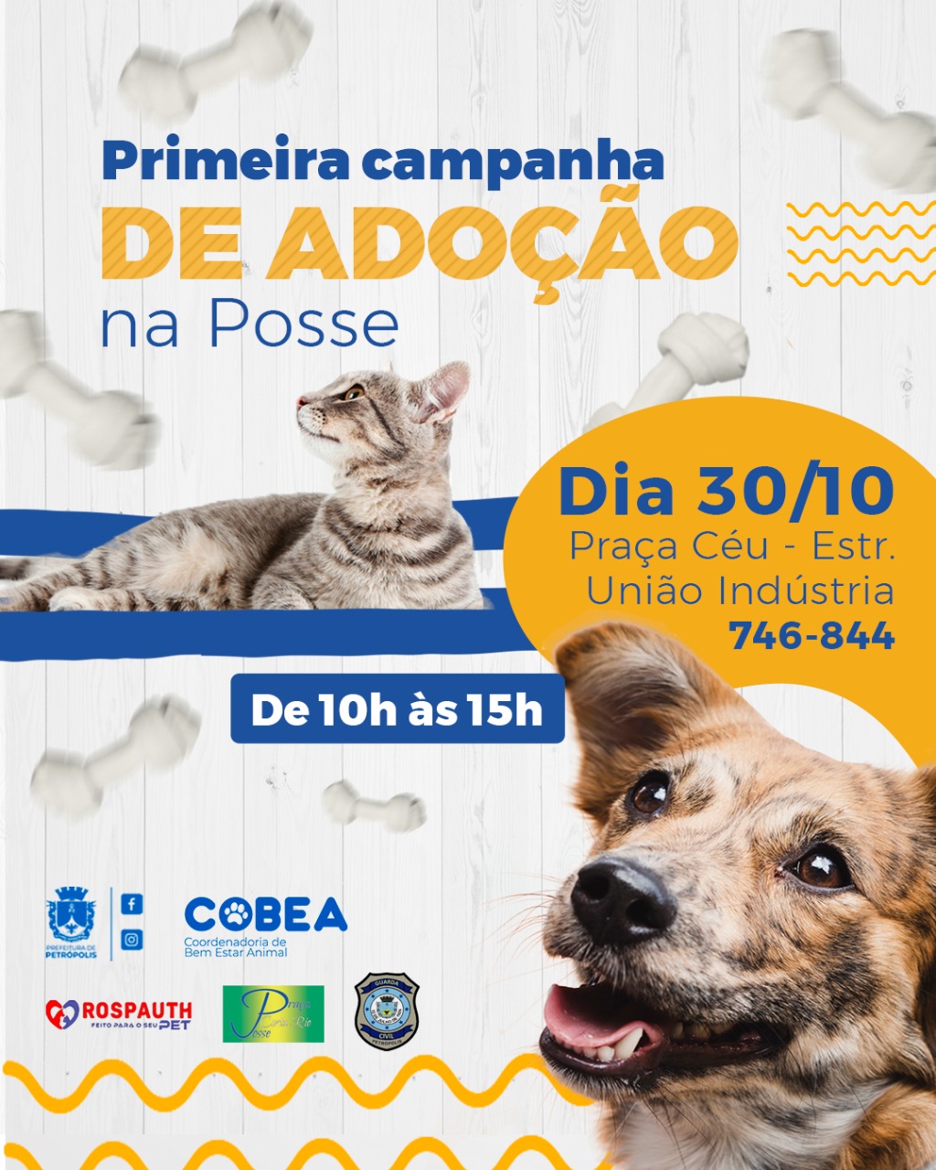Posse recebe 1ª etapa da Campanha de adoção de animais nos distritos neste sábado (30)