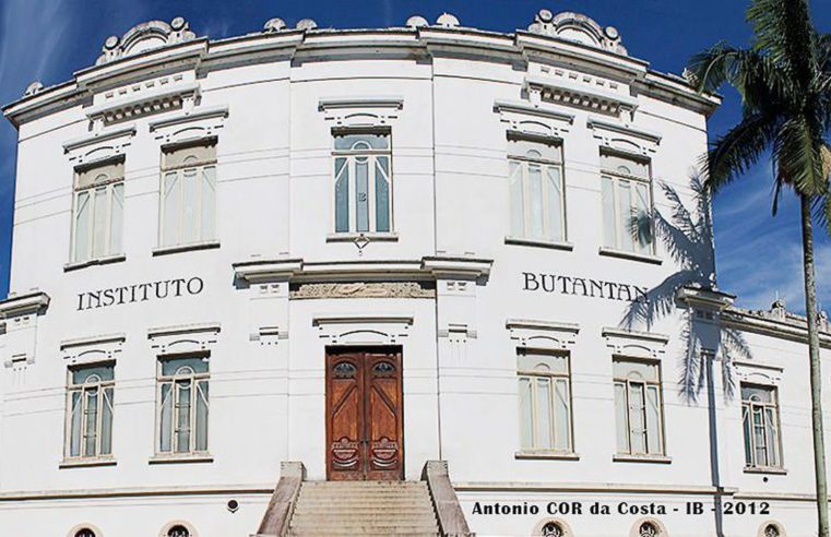 Butantan recebe autorização para iniciar testes de soro anti-covid