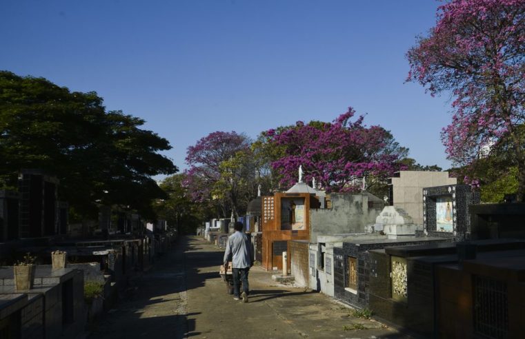 Finados: São Paulo espera 100 mil visitantes nos cemitérios da capital