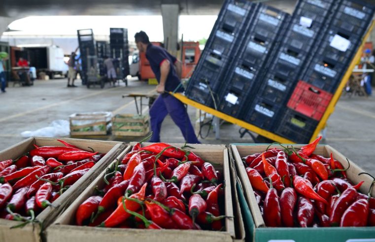 Mapa: 89% dos vegetais comercializados são seguros para consumo